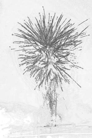 A black and white sketch of fireworksの写真素材