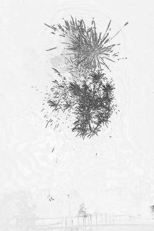 A black and white sketch of fireworksの写真素材