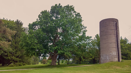 A tree and a silo in the field