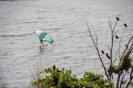Windsurfing in the sea. Water sport. Water sports.