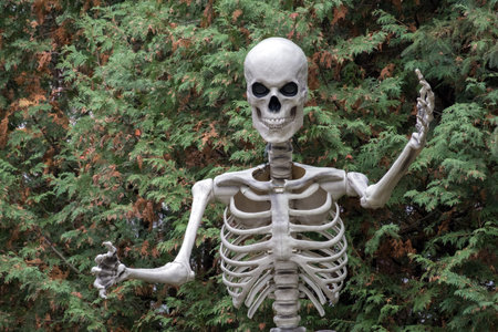 Skeleton in the park. The skeleton is a symbol of Halloween.の写真素材