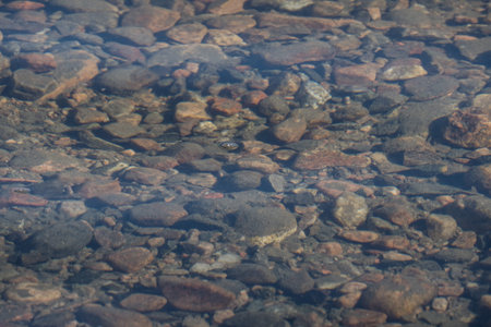 River water surface with pebbles and reflections of sunlight. Background