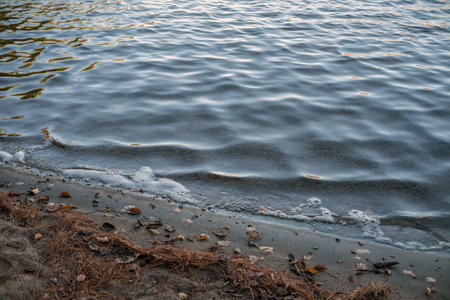 Water surface with sand and algae on the beach in the evening.