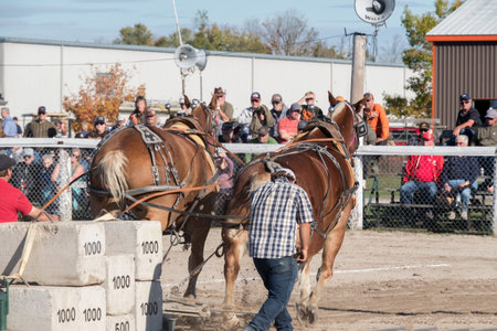 annual Rodeo at Lincoln Center in Lincoln, Nebraska.の写真素材