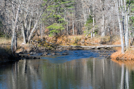 Landscape with river and trees in early spring, Ontario, Canada
