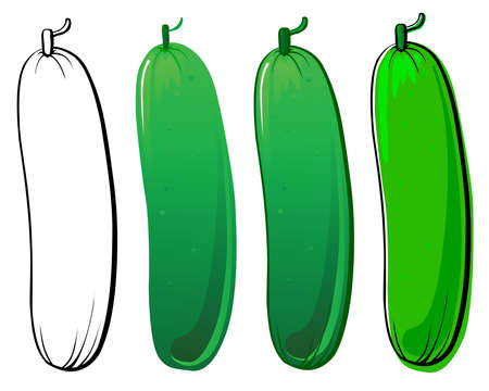 Cucumber set. Each in separated layer. のイラスト素材