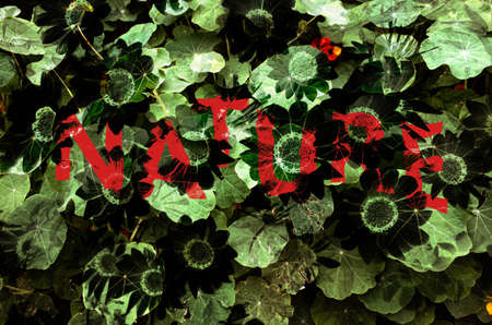 A natural abstract background with the word.の写真素材