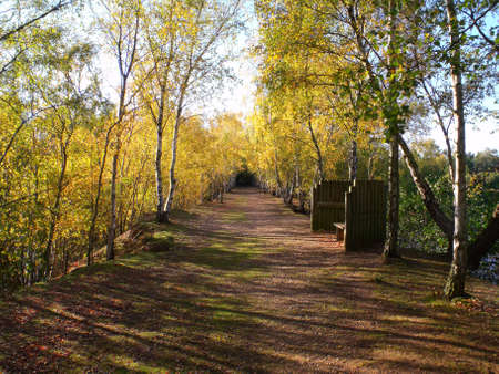 Path to Swanholm Lake Lincoln England の写真素材