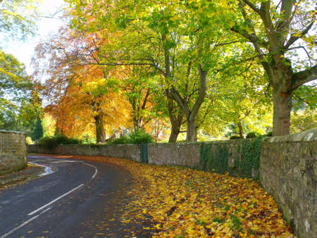 Hackness Yorkshire Englandの写真素材