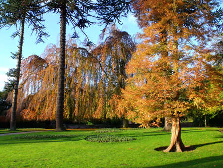 Grand Willows Daynes public gardens Englandの写真素材