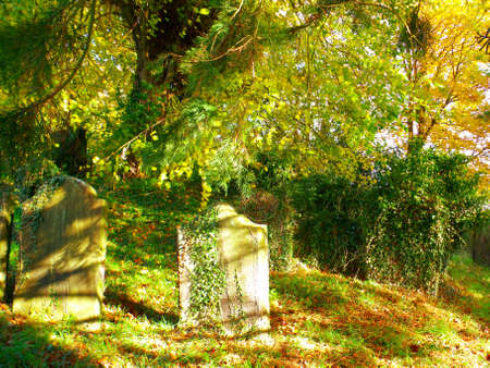 Cemetary in Fall Scotlandの写真素材