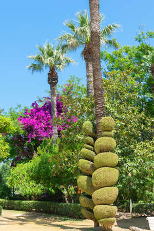 CÃ¡diz Genoese park in summer. Garden with exotic plants and music kiosk. Andalusia, Spainの写真素材