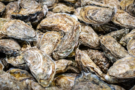 Oysters Box with many oysters in the market. Medium size, gray color.