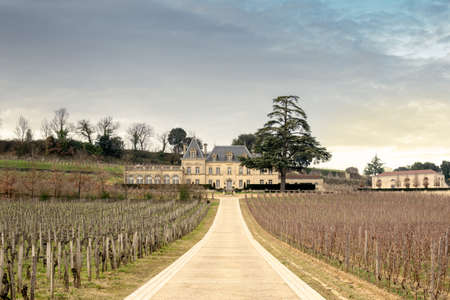 Castle cellar in France with mamino among the vineyardsのeditorial素材