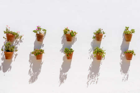 Flowerpots on the wall. Olvera. Typical white village of Spain in the province of Cadiz in Andalusia, Spainの写真素材