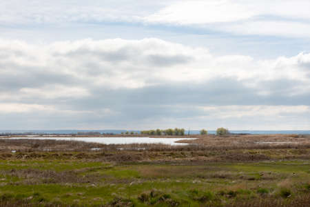 Laguna de la Nava, Fuentes de Nava, Tierra de Campos, Palencia, Castilla y Leon, Spainの写真素材