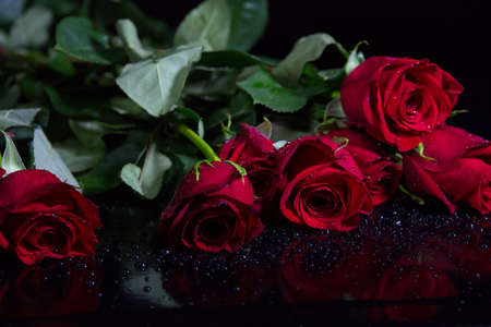 Red roses with water drops isolated on black backgroundの写真素材