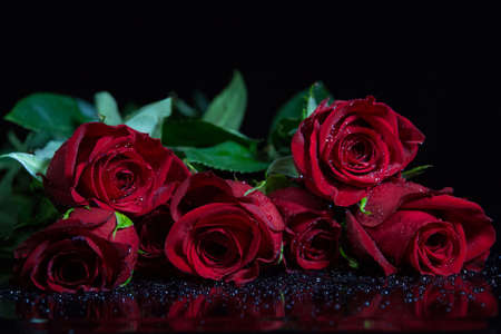 Red roses with water drops lying on black backgroundの写真素材