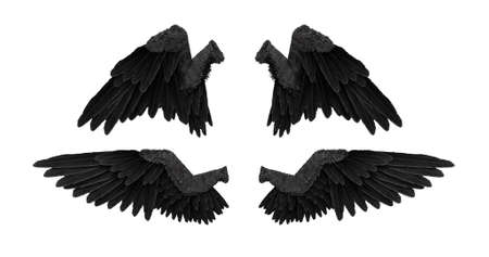 3D render black angel wings with on a white backgroundの写真素材