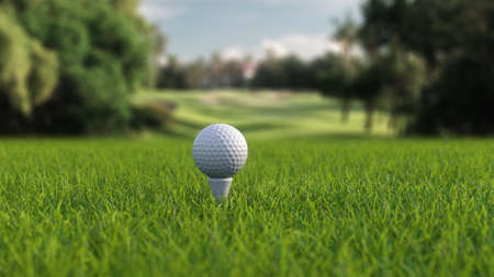 3d render golf ball with a club on the field side viewの写真素材
