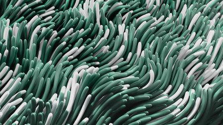3 render Background of animated green and white abstract anemonesの写真素材