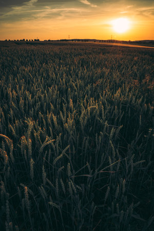 Sunrise in countryside of Czech Bohemia region