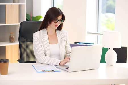 Young business woman working in her office using a laptopの写真素材
