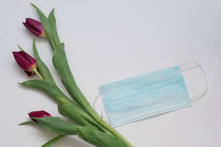 three tulips with green leaves and a covid mask on a white backgroundの写真素材