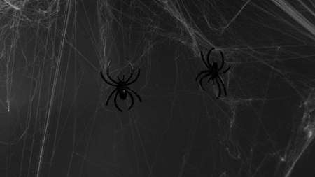 artificial wartificial web with black spiders on a black background with a place for text, Halloween concepteb with black spiders on a black background with a place for text, Halloween concept.の写真素材