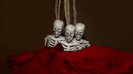 artificial human skeleton, skeleton figurine on a rope, halloween concept. High quality photoの写真素材