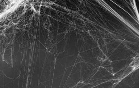 artificial web on a black background with a place for text, Halloween concept. High quality photoの写真素材