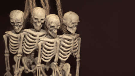 artificial human skeleton , skeleton figurine on a rope , halloween conceptの写真素材
