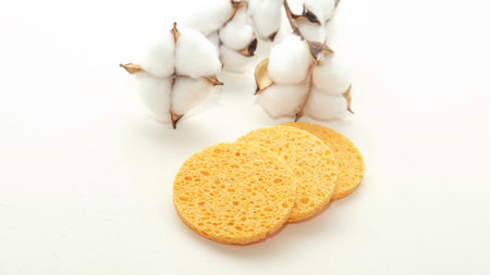 sponge sponge for washing and removing makeup on a white backgroundの写真素材