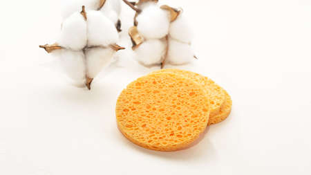 sponge sponge for washing and removing makeup on a white backgroundの写真素材