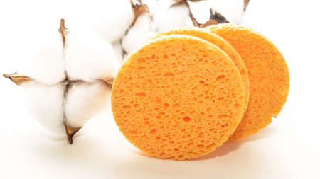 sponge sponge for washing and removing makeup on a white backgroundの写真素材