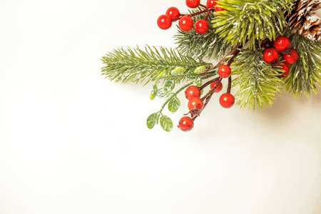 a fir twig with red berries on a white background, the concept of Christmasの写真素材