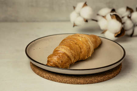 croissant on a beige plate with a cup of tea and a sprig of cotton on a concrete backgroundの写真素材