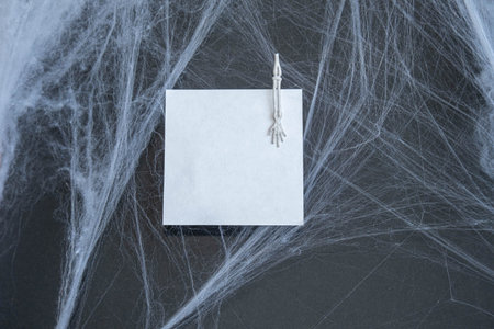 Halloween concept ,web with skeletons on a black background with a place for text ,mockup