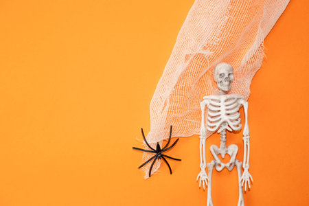 two black spiders on a gauze web on an orange background with a place for text , a creative Halloween conceptの写真素材