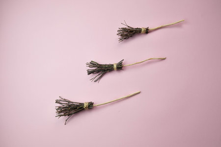 three witch brooms on a light pink background with a place for text, the concept of a creative happy Halloweenの写真素材