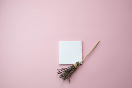 witchs broom on a light pink background with a place for text, the concept of a creative happy...