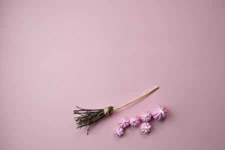 witchs broom on a light pink background with a place for text, the concept of a creative happy Halloweenの写真素材