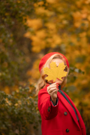 A blonde girl in a red coat and a red beret is out of focus holding a yellow maple leaf against a background of orange trees , the concept of golden autumnの写真素材