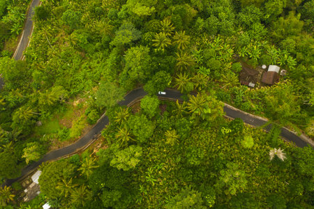 Top down overhead aerial view of a car driving on the asphalt road through lush green jungle Car on...