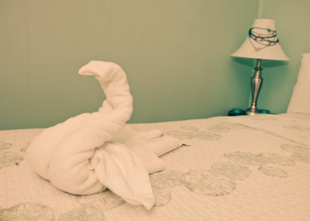 Nice hotel bedroomの写真素材