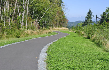 Pedestrian walkway in a suburban neighborhood