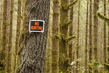 No Hunting sign on tree in a mossy forest. の写真素材