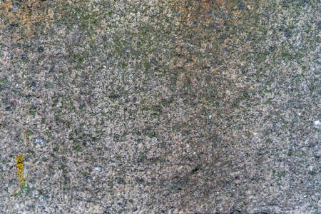 Aged concrete with mos and rust patterns and cracks - high quality texture / backgroundの写真素材