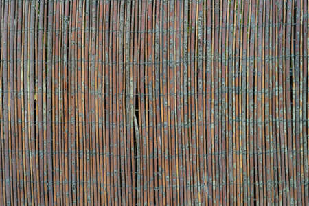 Grunge bamboo pattern - high quality texture / backgroundの写真素材