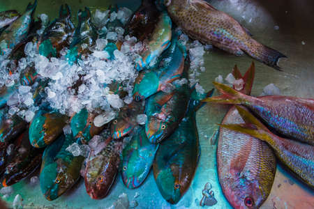 Thai bazaar with fresh seafood, parrotfishes on iceの写真素材
